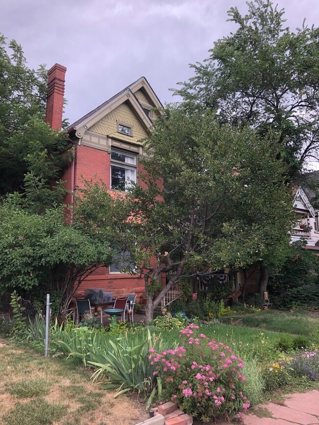 2141 Franklin St, Unit Down in Denver, CO - Building Photo - Building Photo