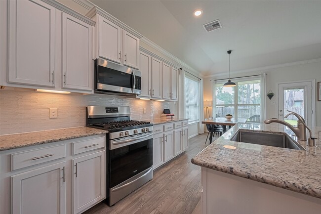 16886 Ramsay Cascades Dr