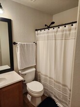 4519 Woodspring Glen Ln in Houston, TX - Building Photo - Building Photo