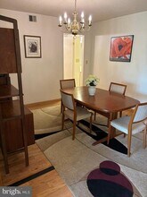 5903 Mt Eagle Dr in Alexandria, VA - Foto de edificio - Building Photo