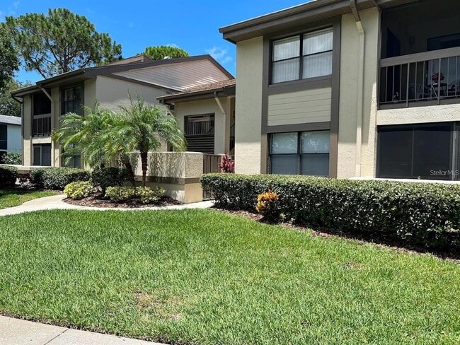 333 Woodlake Wynde in Oldsmar, FL - Building Photo - Building Photo