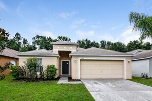 35153 Meadow Reach Dr in Zephyrhills, FL - Building Photo