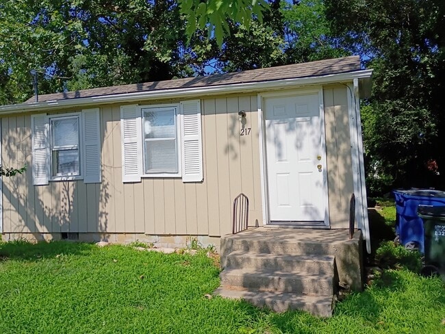 property at 217 Illinois St