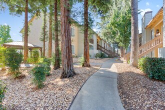 Walnut Village in Sacramento, CA - Building Photo - Building Photo