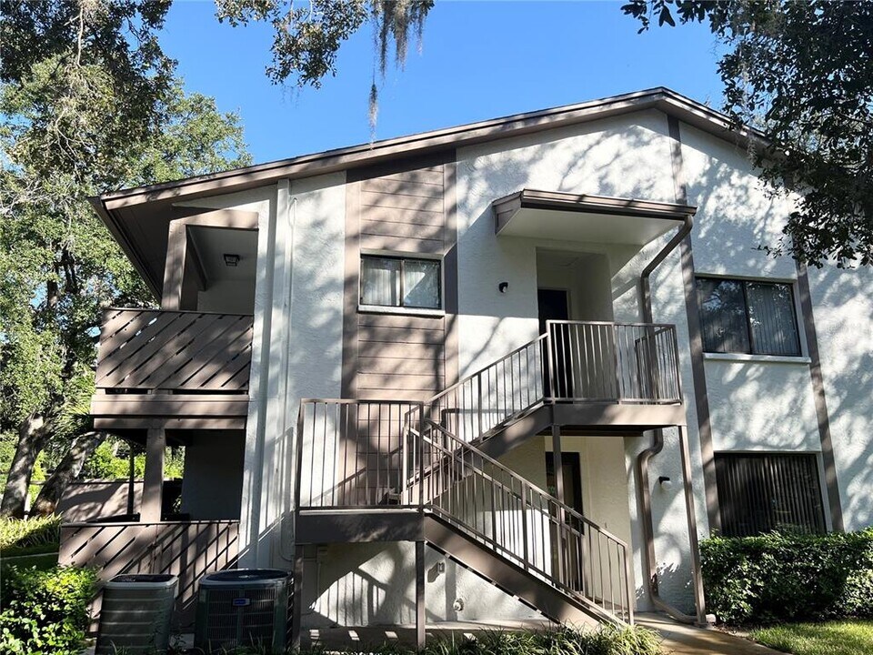 510 Mistletoe Ct in Safety Harbor, FL - Building Photo