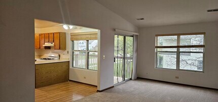 301 Village Creek Dr in Lake In The Hills, IL - Building Photo - Building Photo