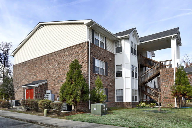 Ivy Ridge Apartments in Charleston, SC - Building Photo - Building Photo