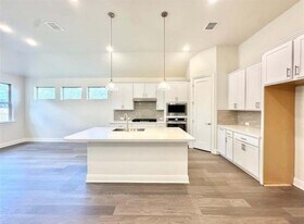 528 Tubman Dr in Kyle, TX - Building Photo