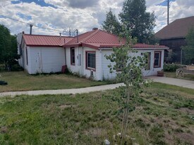 839 Steinfelt Pkwy in Fairplay, CO - Building Photo