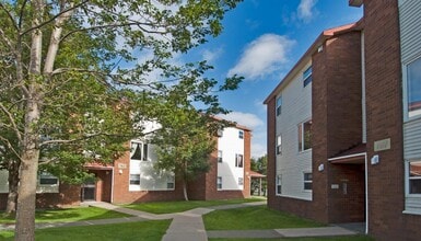 Blackshire Court in St John's, NL - Building Photo - Building Photo