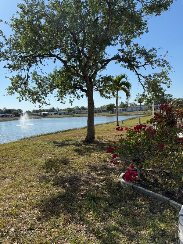 26357 Charlotte Dr in Bonita Springs, FL - Building Photo - Building Photo