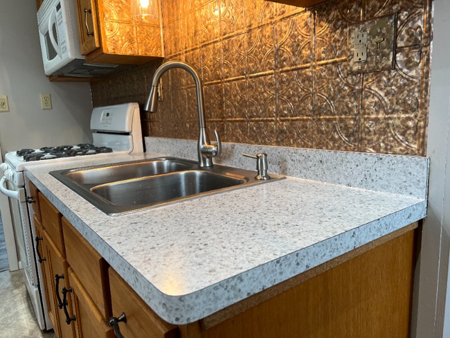 209 Iroquois St in Webster, NY - Foto de edificio - Building Photo