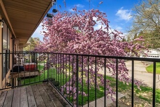 Shannon Apartments in Olivet, MI - Building Photo - Building Photo