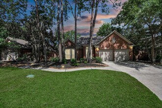 39 Wild Meadow Ct in Spring, TX - Building Photo - Building Photo