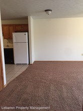 579 S Krudwig Ave in Lebanon, MO - Building Photo - Building Photo