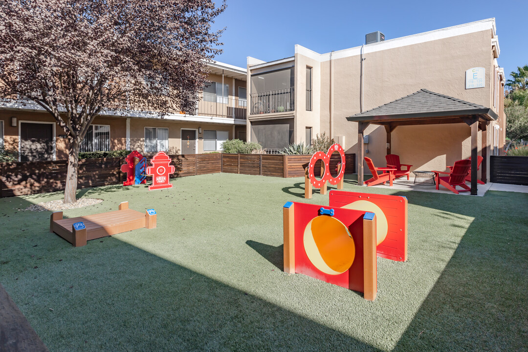 Cambridge House Apartments in Davis, CA - Building Photo