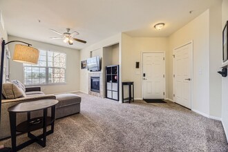 1465 Blue Sky Cir in Erie, CO - Building Photo - Building Photo