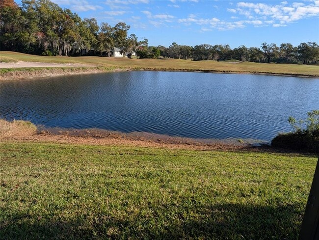 3776 Maxwell Park Dr in Sun City Center, FL - Building Photo - Building Photo