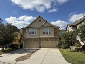 134 Mimosa Silk Ct in Montgomery, TX - Building Photo