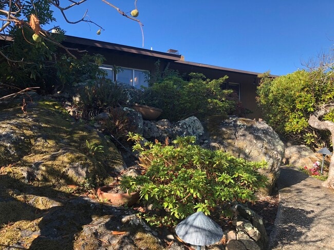 property at 1409 Brewster Dr