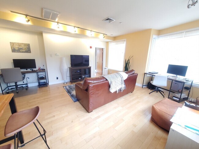 24 Bay State Rd in Cambridge, MA - Building Photo - Building Photo