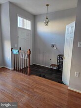 14641 Seasons Dr in Centreville, VA - Building Photo - Building Photo