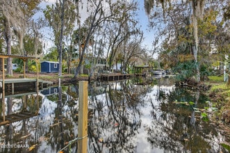 56320 Cherry Tree Rd in Astor, FL - Building Photo - Building Photo