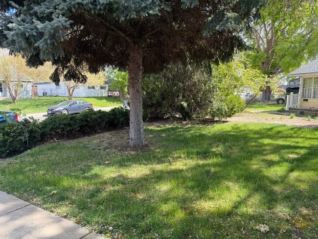 919 Snow in Richland, WA - Foto de edificio - Building Photo