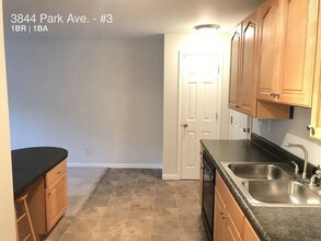 3844 Park Ave-Unit -8 in St. Louis, MO - Building Photo - Building Photo