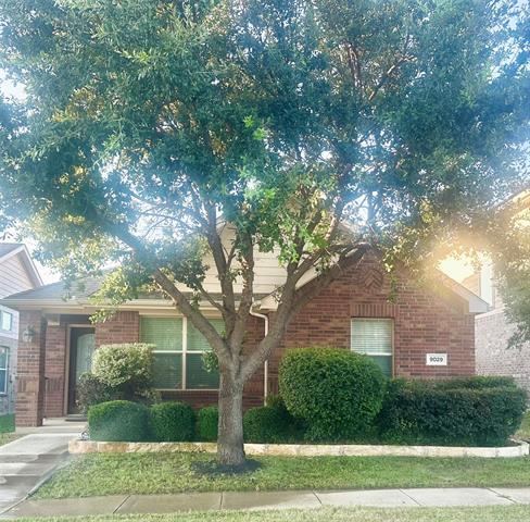 9029 Sundance Trail in Aubrey, TX - Building Photo