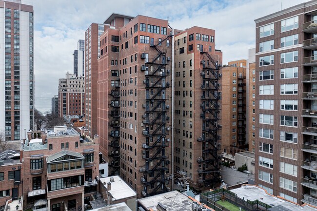 1320 N State Pky in Chicago, IL - Building Photo - Building Photo