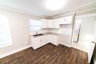 203 Catherine St in Houston, TX - Building Photo - Building Photo