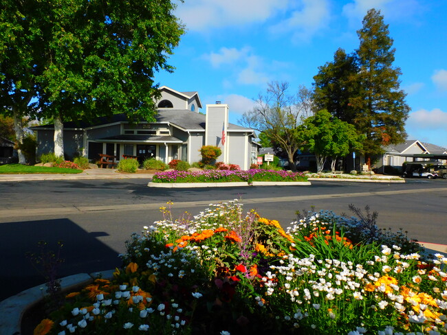 Creek Park Village 55+ Senior Community photo'