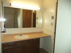 719 W Cherry Ln in State College, PA - Building Photo - Building Photo