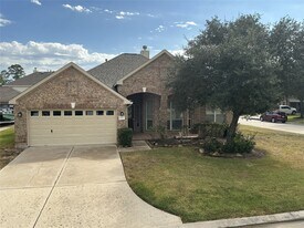 24802 Jillian Way Ct in Spring, TX - Building Photo