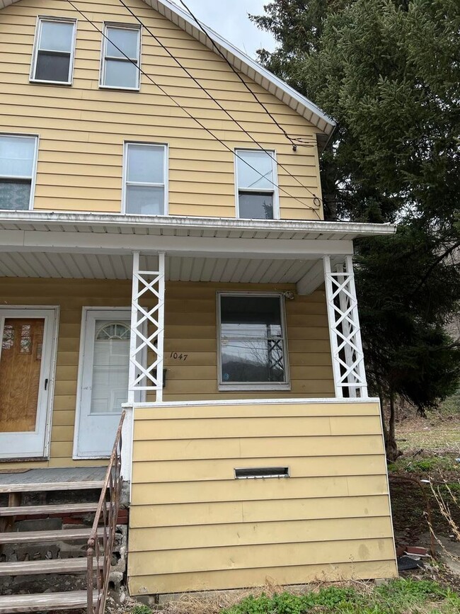 property at 1045-1047 Sunday St