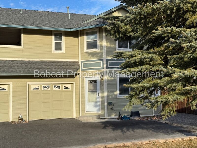 1407 Mission St in Gardnerville, NV - Building Photo