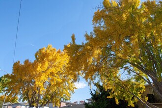 3517 Alden Way in San Jose, CA - Building Photo - Building Photo