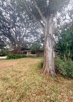 3022 Dartmouth Ave N in St. Petersburg, FL - Building Photo