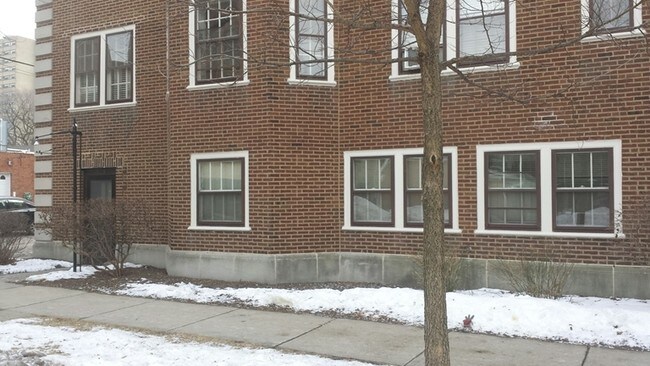 1119 Pleasant St in Oak Park, IL - Building Photo - Building Photo