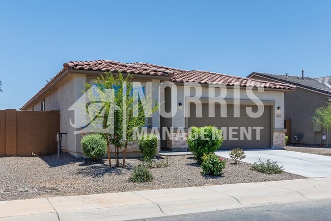2874 N Blossom Ln in Casa Grande, AZ - Building Photo - Building Photo