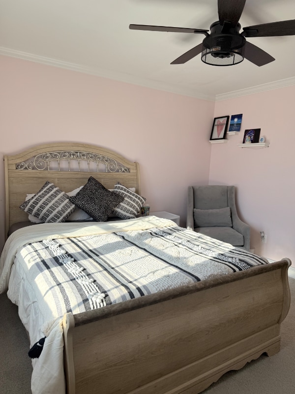 property at 83 Annandale Rd