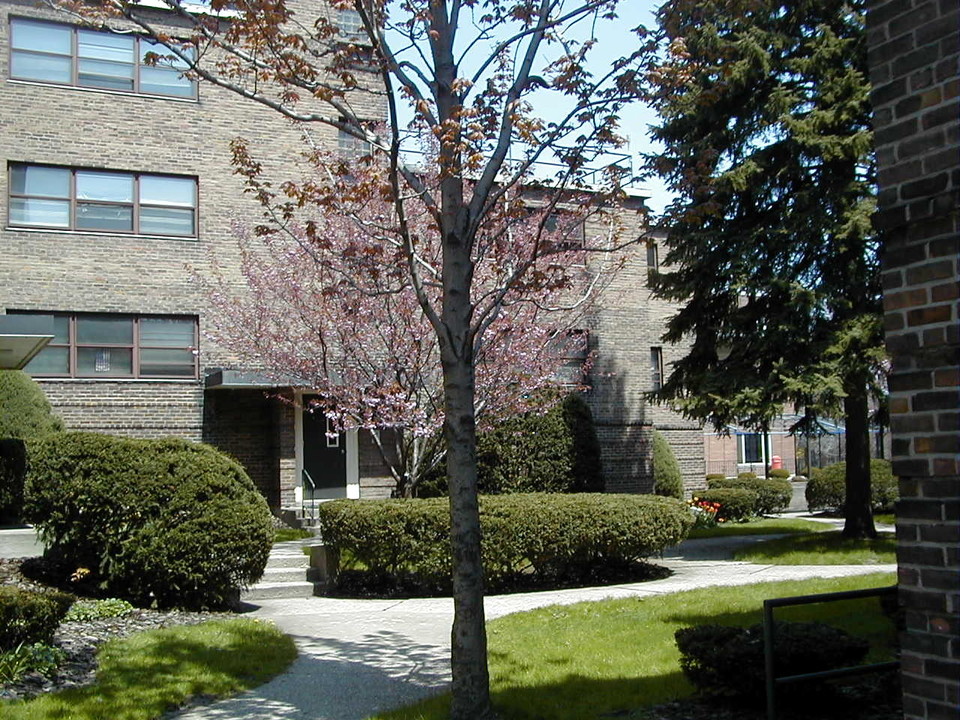 Delaware Court Apartments in Buffalo, NY - Building Photo