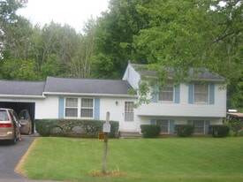 8258 Larkspur Dr in Baldwinsville, NY - Building Photo