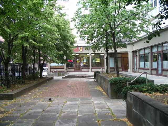 The Kelly House in New Haven, CT - Building Photo - Building Photo