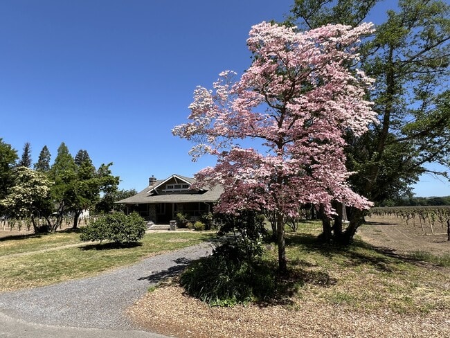 1851 Magnolia Dr in Healdsburg, CA - Building Photo - Building Photo