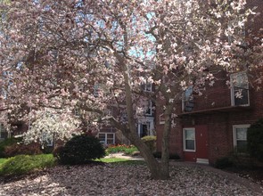 56-Village Court Apartments, LLC in South Orange, NJ - Building Photo - Building Photo