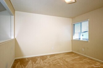1905 Creek Run Dr in Pearland, TX - Building Photo - Building Photo