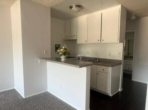 15537 Nordhoff St in Los Angeles, CA - Building Photo - Building Photo