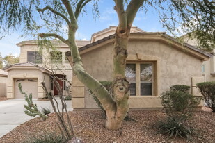 2075 S Illinois Pl in Chandler, AZ - Building Photo